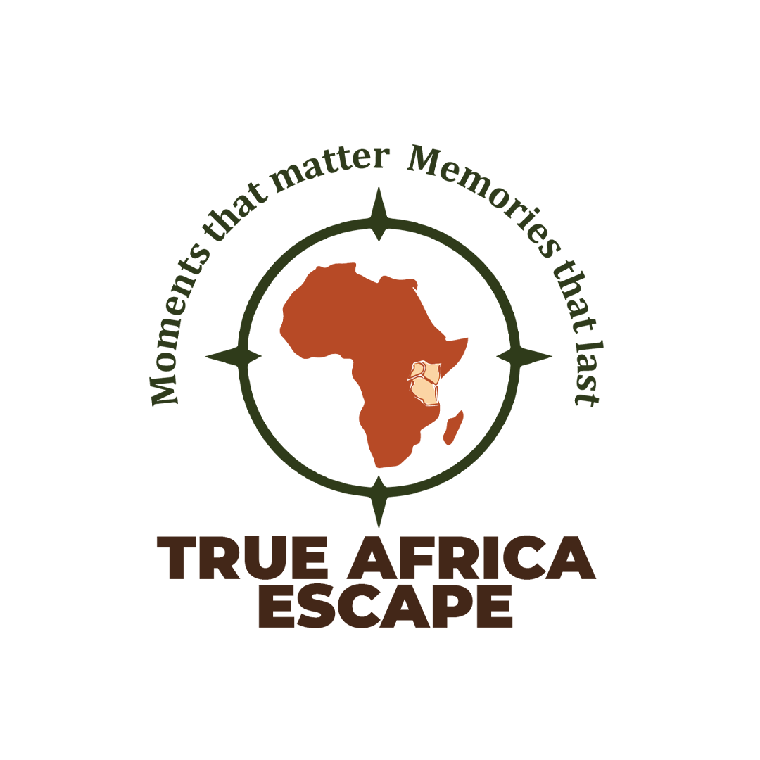 True Africa Logo